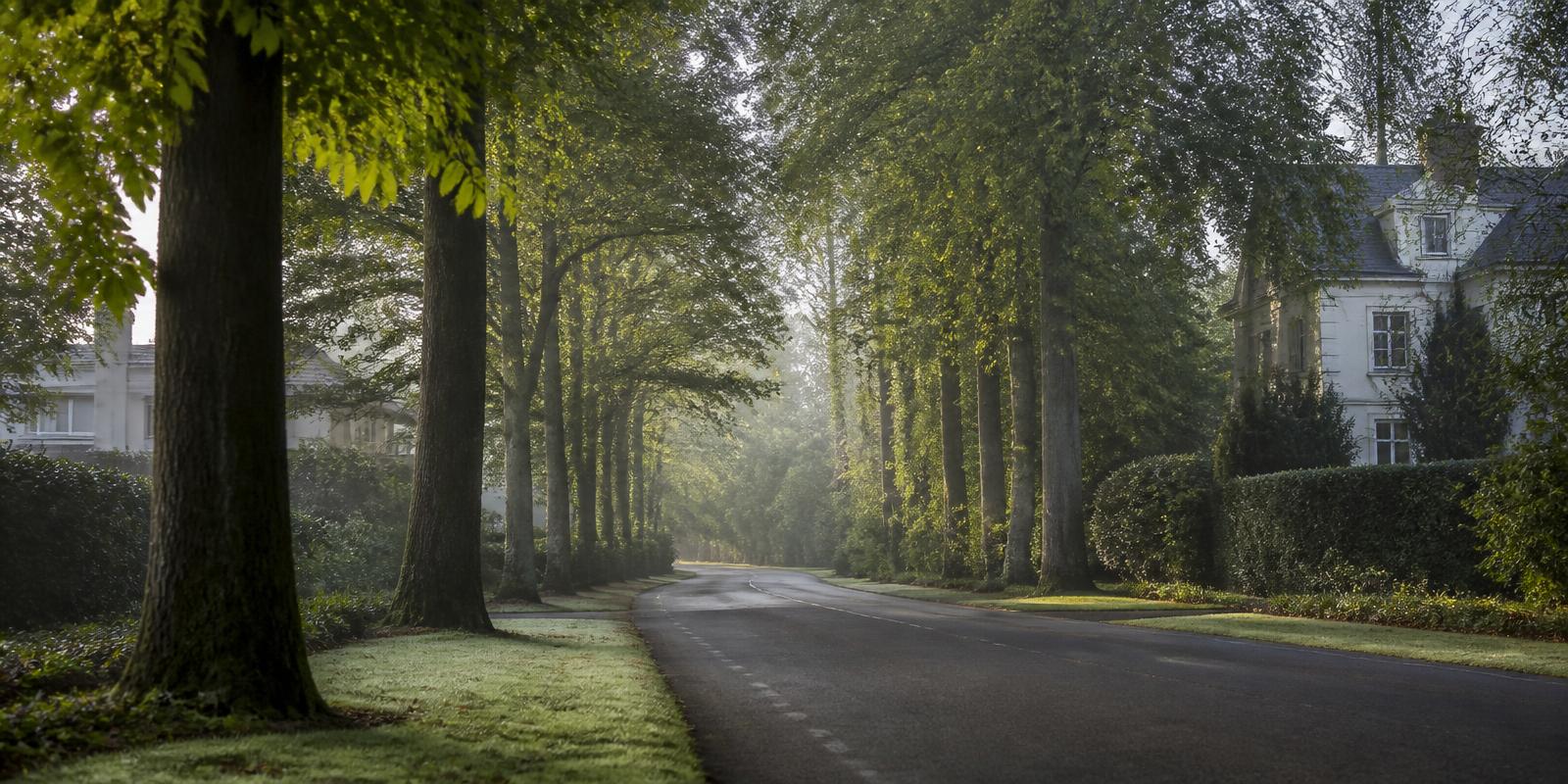 A tree-lined Berkshire lane near Sunningdale and Ascot